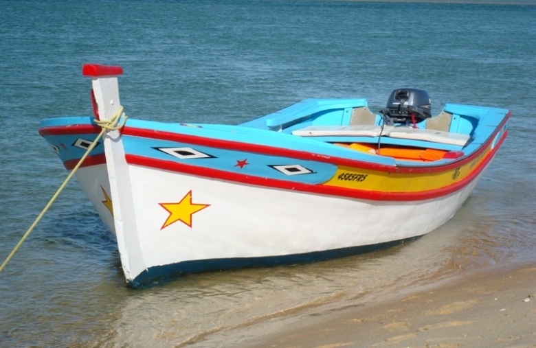 Traditional Boat Trip on The Ria Formosa - Vilamoura Boat Trips